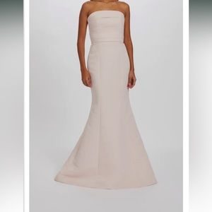 AMSALE FRANCINE DRESS - CHAMPAGNE - WORN ONCE -REGULAR LENGTH DRY CLEANED -